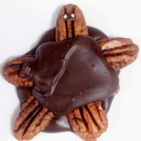 Tortuga Choco Nuez
