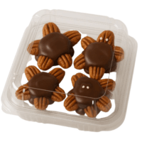 Tortuga Choco Nuez | Cajita de Plástico